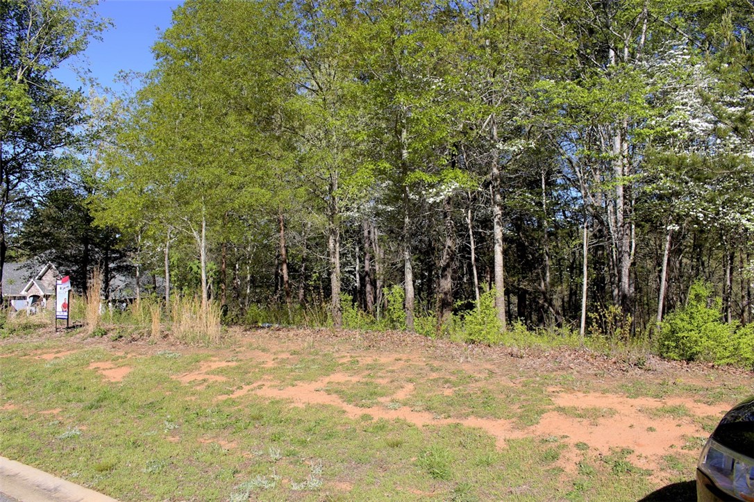 Lot 37 Pointe Harbor Seneca, SC 29672 - Photo 15 of 50 Gallery Image 15