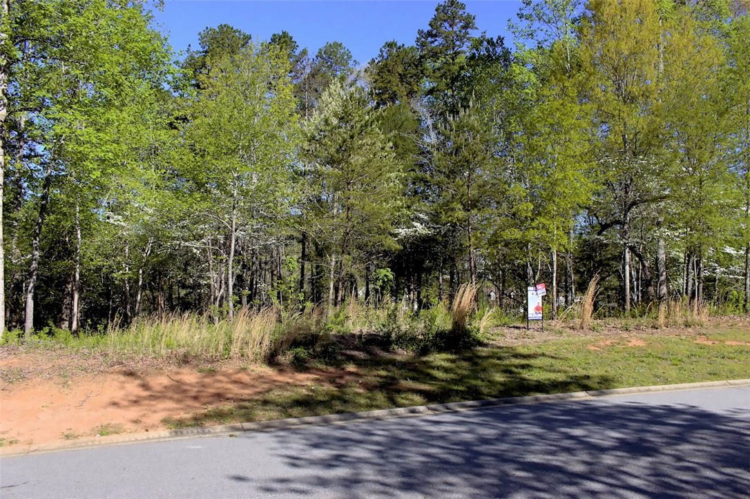 Lot 37 Pointe Harbor Seneca, SC 29672 - Photo 16 of 50 Gallery Image 16