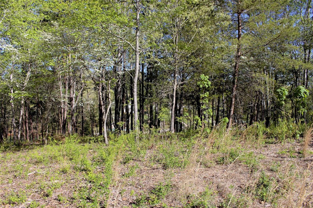 Lot 37 Pointe Harbor Seneca, SC 29672 - Photo 17 of 50 Gallery Image 17