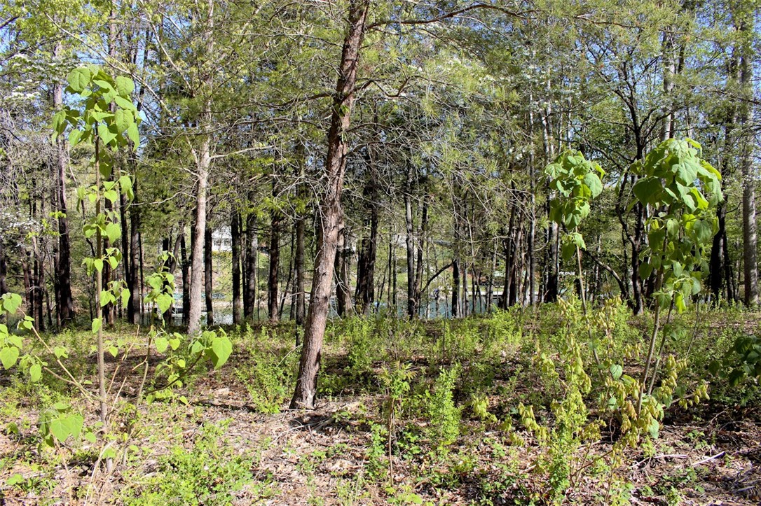 Lot 37 Pointe Harbor Seneca, SC 29672 - Photo 18 of 50 Gallery Image 18