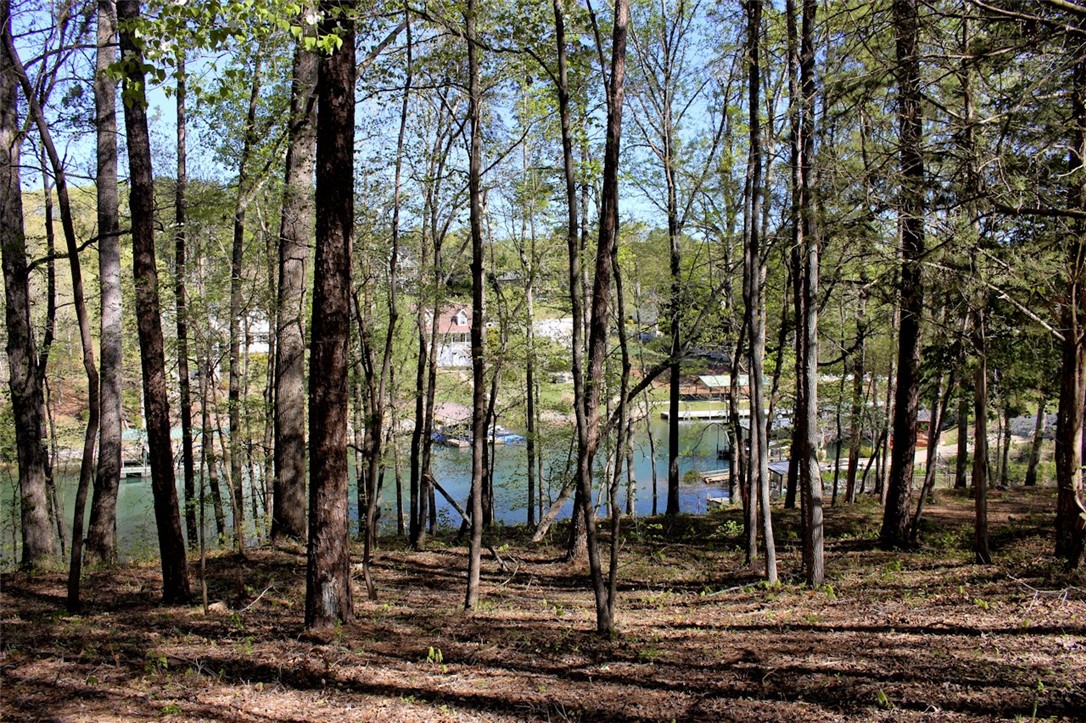 Lot 37 Pointe Harbor Seneca, SC 29672 - Photo 25 of 50 Gallery Image 25