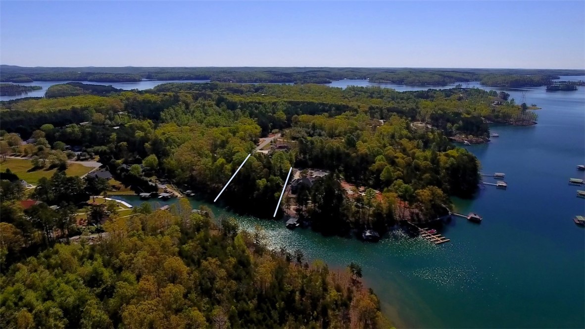 Lot 37 Pointe Harbor Seneca, SC 29672 - Photo 3 of 50 Gallery Image 3