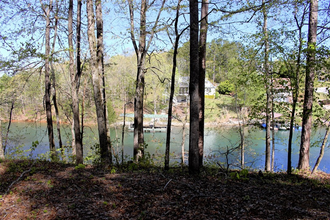 Lot 37 Pointe Harbor Seneca, SC 29672 - Photo 33 of 50 Gallery Image 33