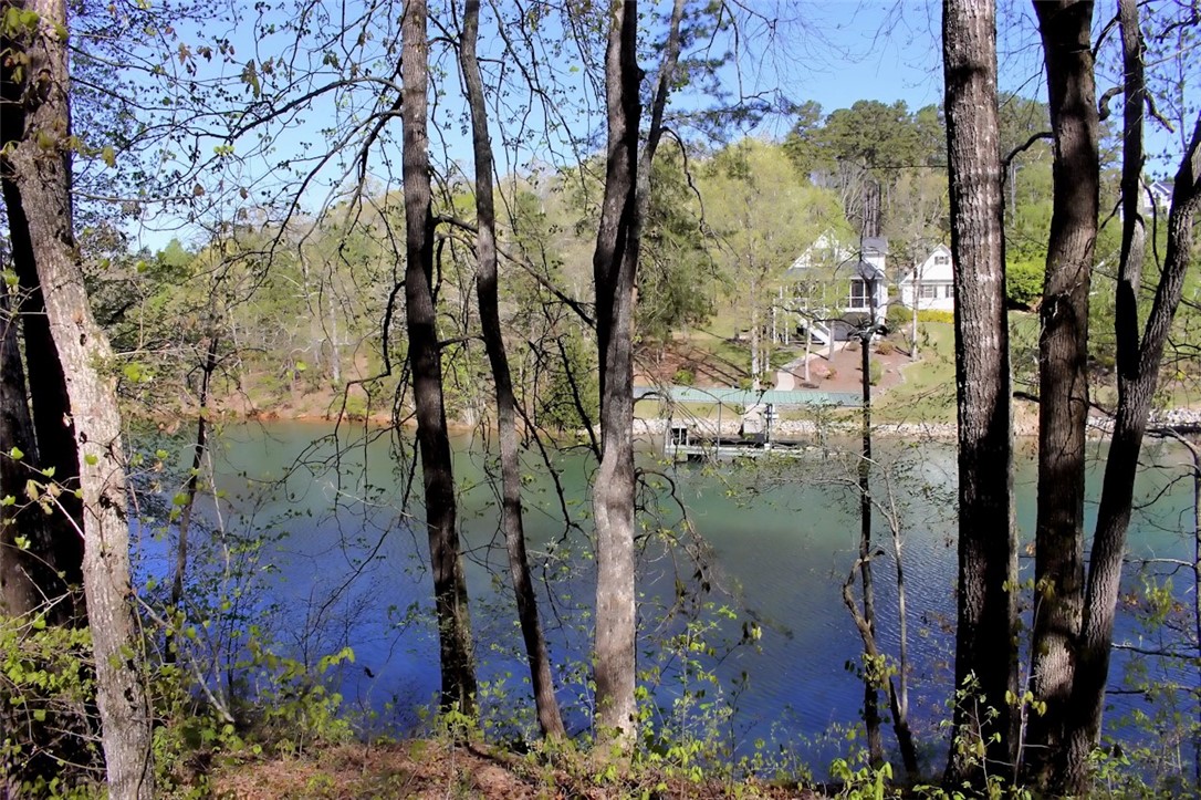 Lot 37 Pointe Harbor Seneca, SC 29672 - Photo 34 of 50 Gallery Image 34