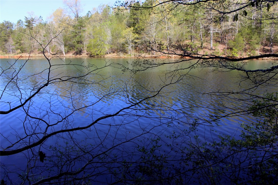 Lot 37 Pointe Harbor Seneca, SC 29672 - Photo 38 of 50 Gallery Image 38