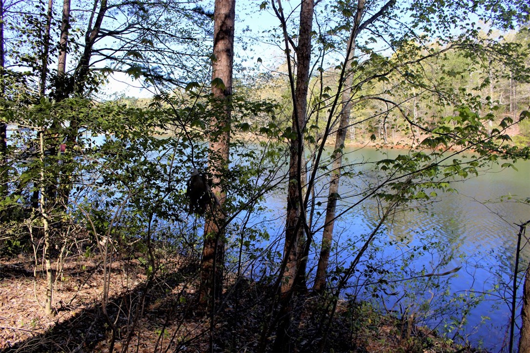 Lot 37 Pointe Harbor Seneca, SC 29672 - Photo 44 of 50 Gallery Image 44