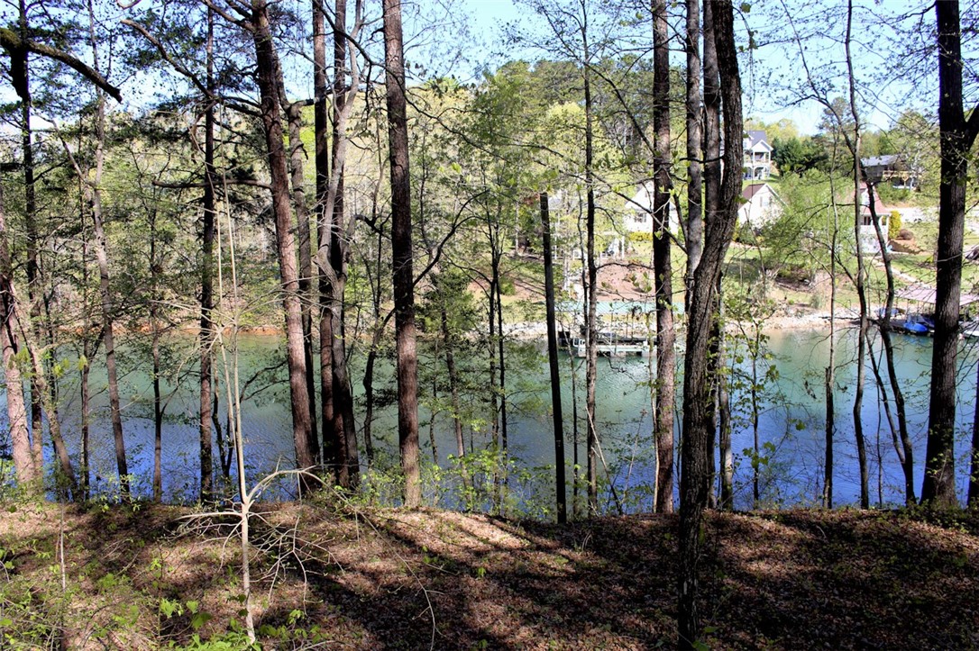 Lot 37 Pointe Harbor Seneca, SC 29672 - Photo 48 of 50 Gallery Image 48