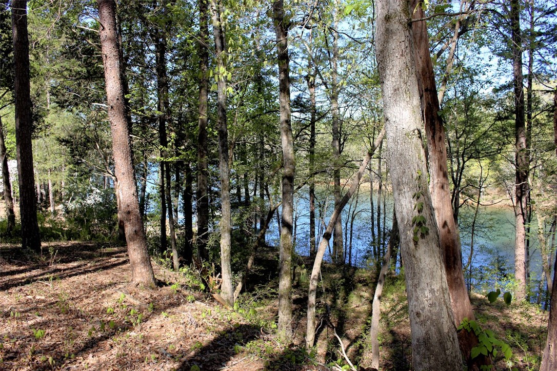 Lot 37 Pointe Harbor Seneca, SC 29672 - Photo 49 of 50 Gallery Image 49