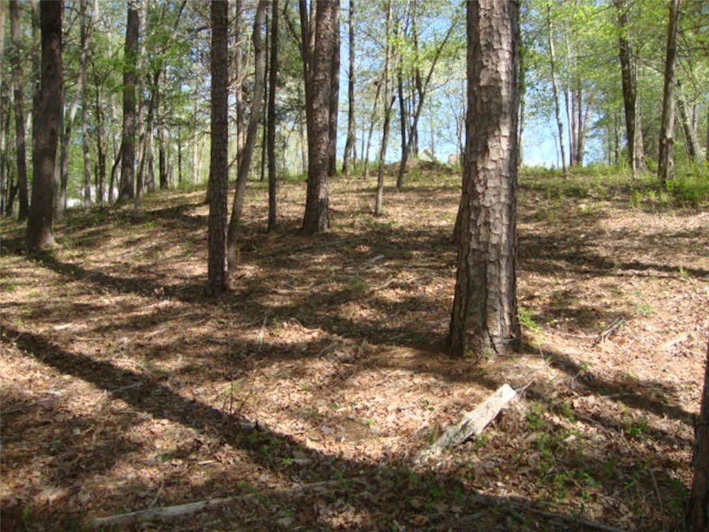 Lot 37 Pointe Harbor Seneca, SC 29672 - Photo 50 of 50 Gallery Image 50