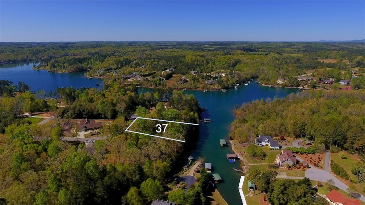Lot 37 Pointe Harbor Seneca, SC 29672 - Photo 7 of 50 Gallery Image 7