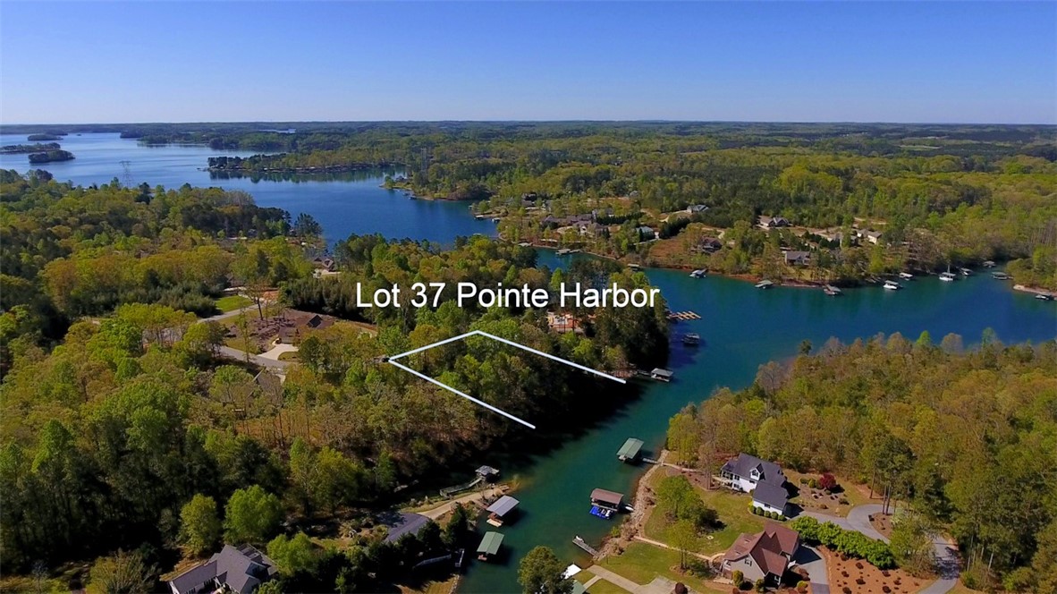 Lot 37 Pointe Harbor Seneca, SC 29672 - Photo 8 of 50 Gallery Image 8