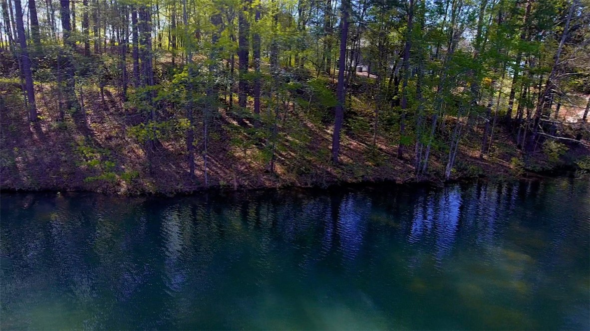 Lot 37 Pointe Harbor Seneca, SC 29672 - Photo 10 of 50 Gallery Image 10