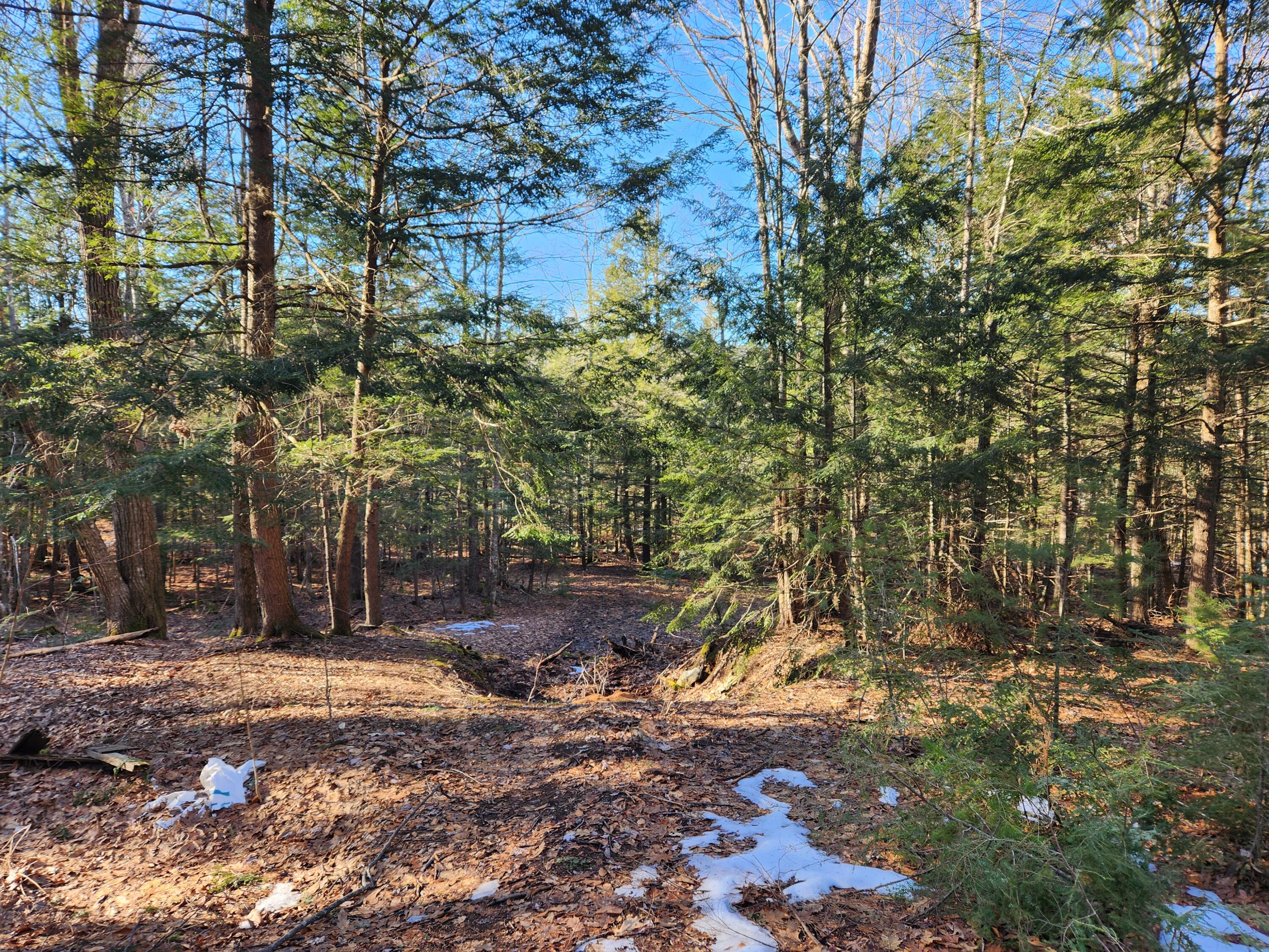55 A A To Z Road Greene, ME 04236 - Photo 49 of 54 20240308_152427