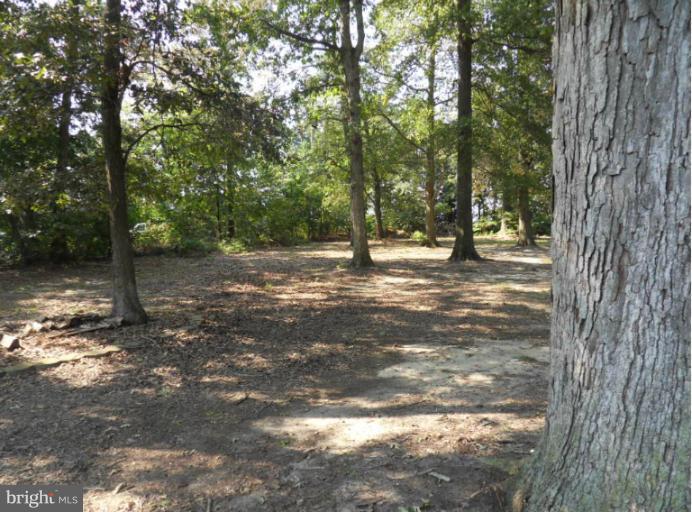 6003 Corey Way Hurlock, MD 21643 - Photo 23 of 27 View