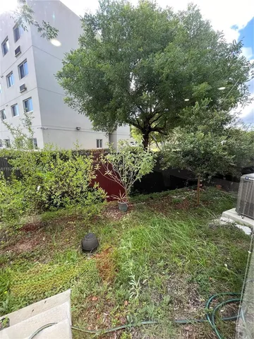 a view of a garden with plants