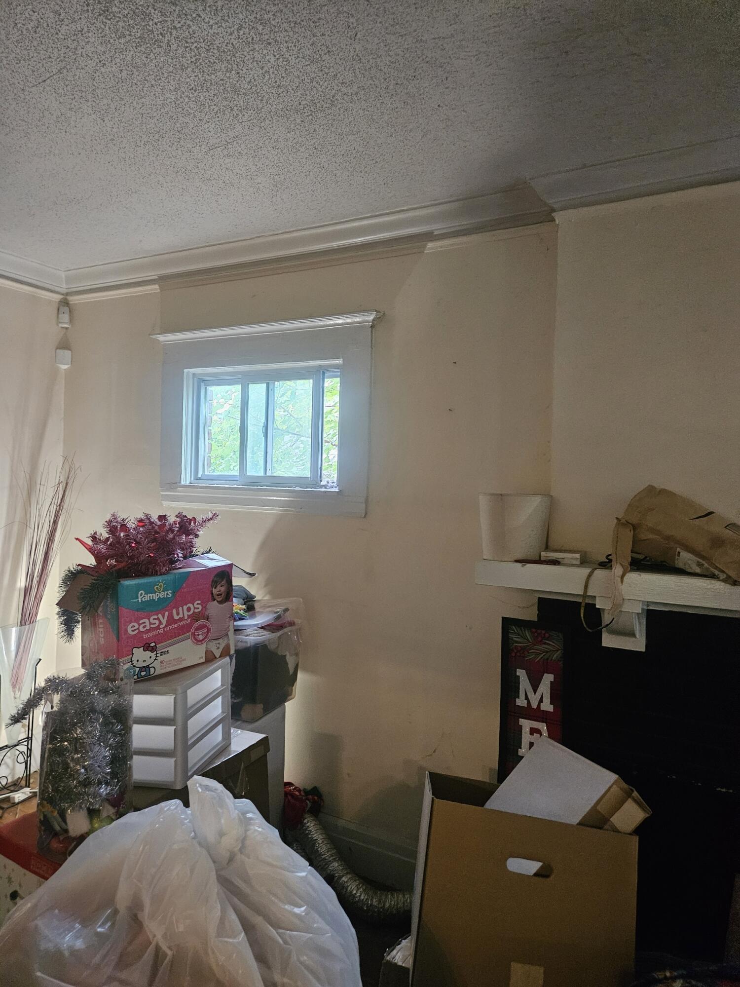 689 Webb Street Detroit, MI 48202 - Photo 44 of 64 Resized_20250813_095829