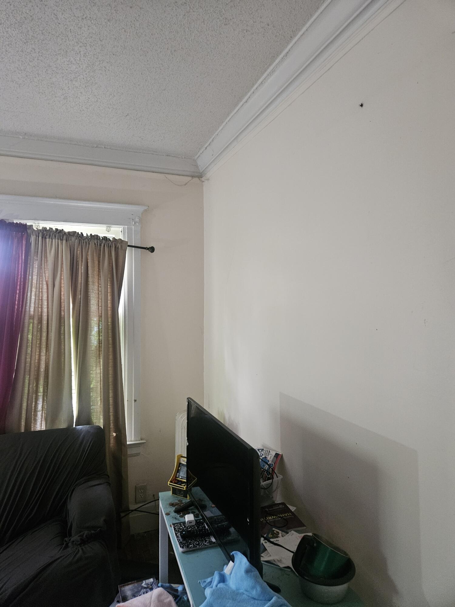 689 Webb Street Detroit, MI 48202 - Photo 47 of 64 Resized_20250813_095835