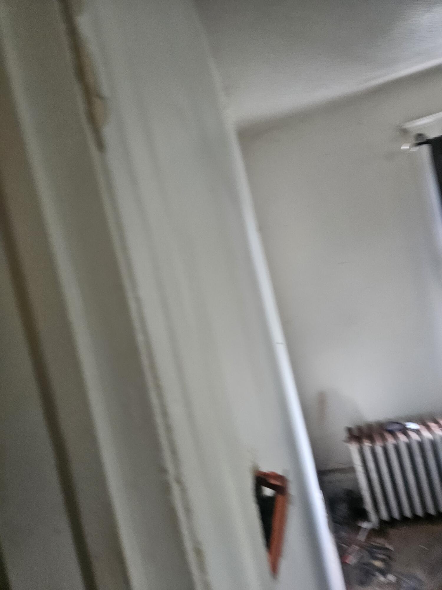 689 Webb Street Detroit, MI 48202 - Photo 50 of 64 Resized_20250813_100041