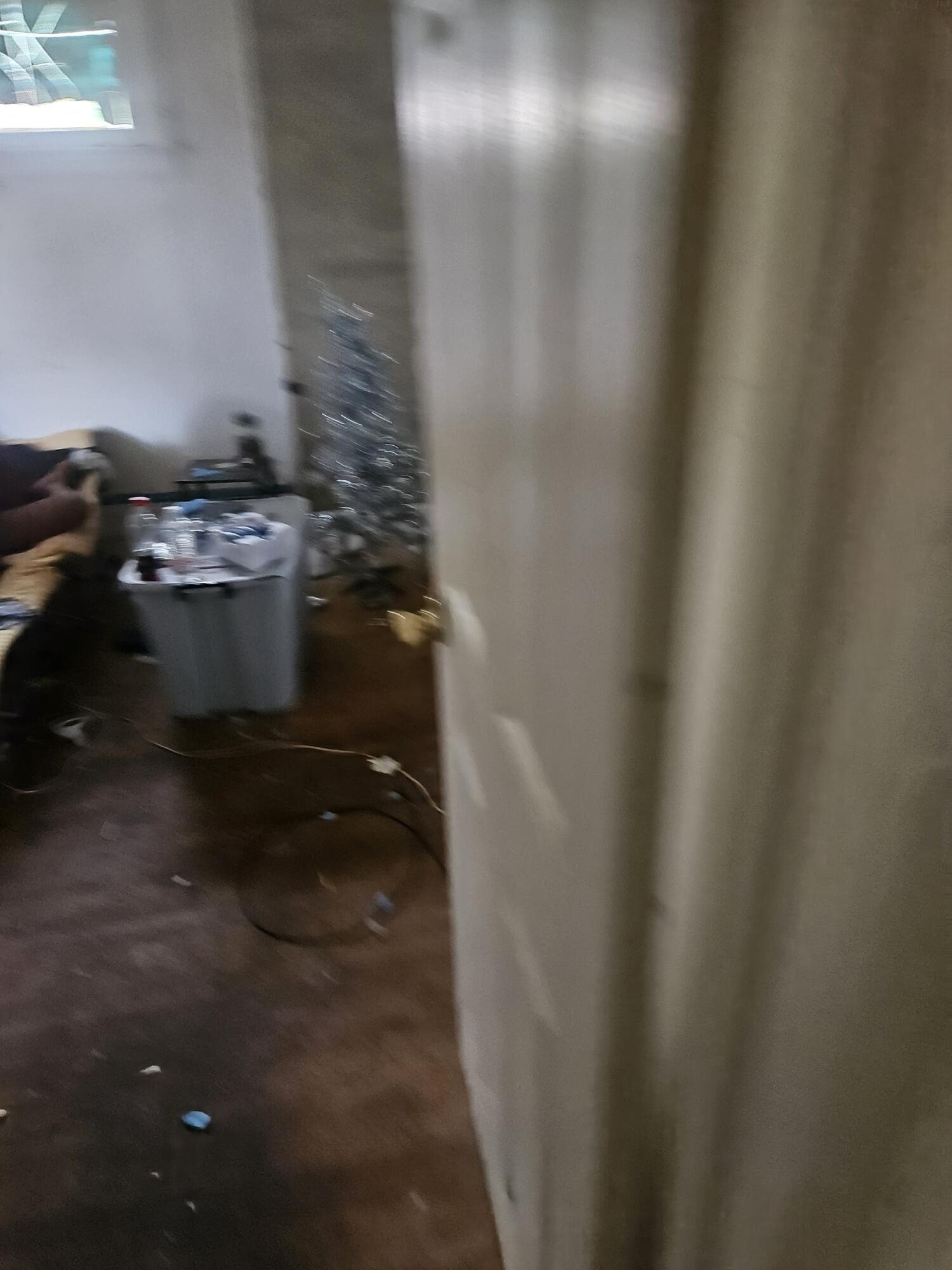 689 Webb Street Detroit, MI 48202 - Photo 52 of 64 Resized_20250813_100046