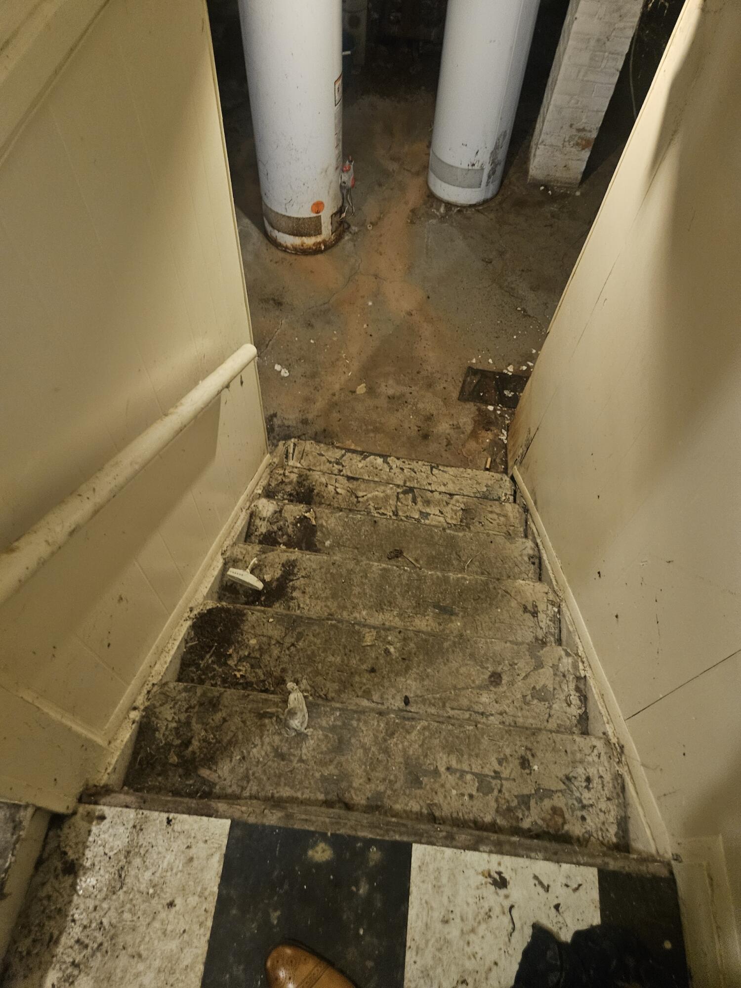 689 Webb Street Detroit, MI 48202 - Photo 53 of 64 Resized_20250813_100446