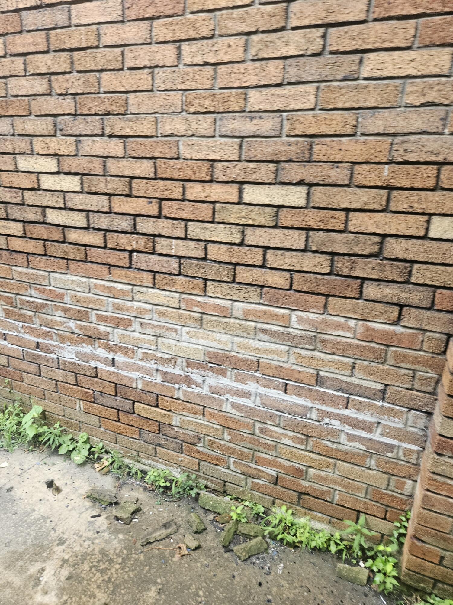 689 Webb Street Detroit, MI 48202 - Photo 61 of 64 Resized_20250813_100837