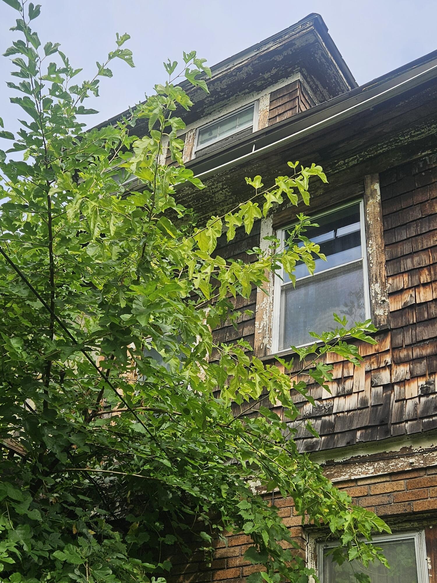 689 Webb Street Detroit, MI 48202 - Photo 64 of 64 Resized_20250813_100901