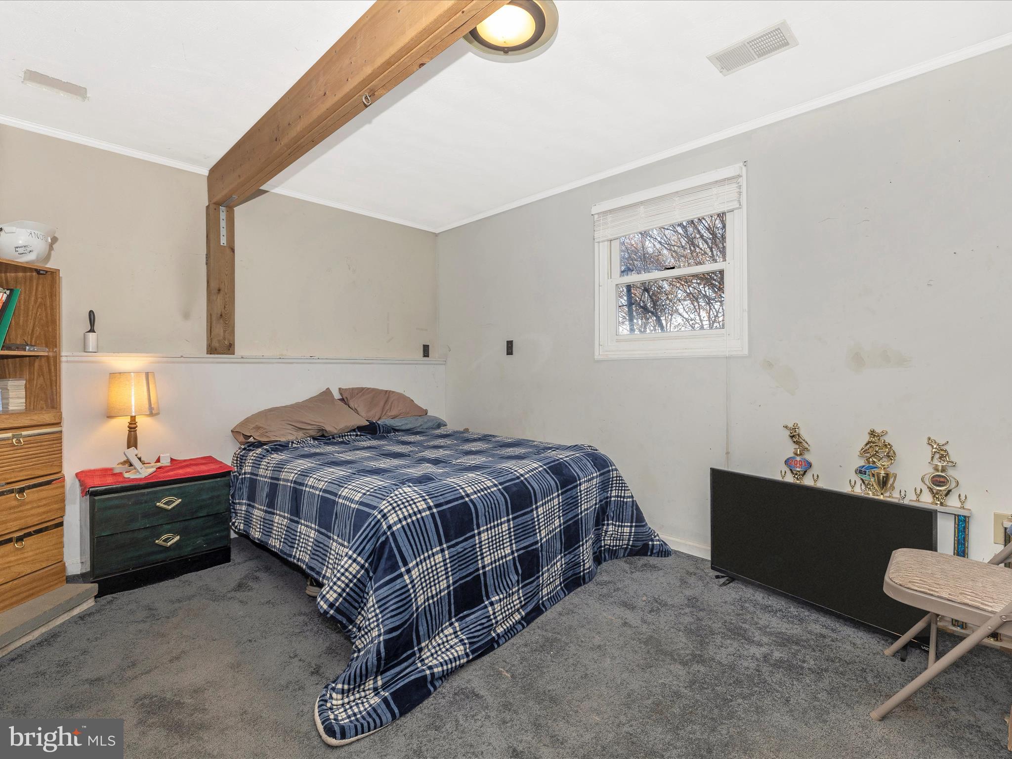 19017 Wootton Avenue Poolesville, MD 20837 - Photo 30 of 46 Lower Bedroom