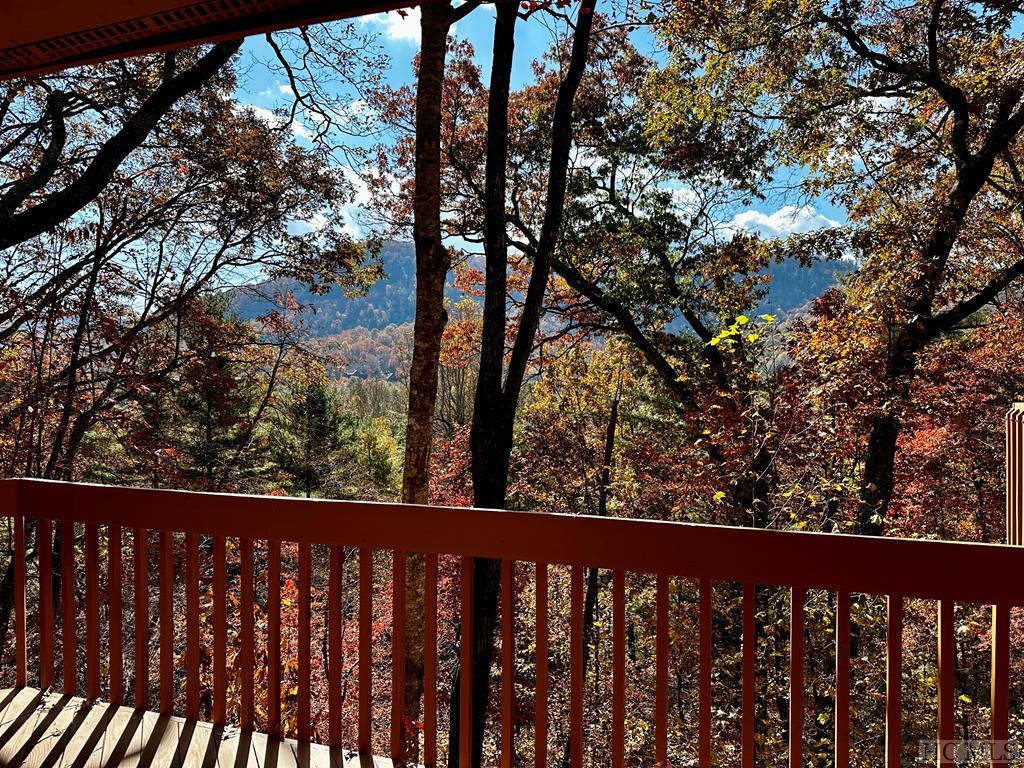 109 Emerald Ridge Road, Unit 41 Sapphire, NC 28774 - Photo 23 of 45 Gallery Image 23