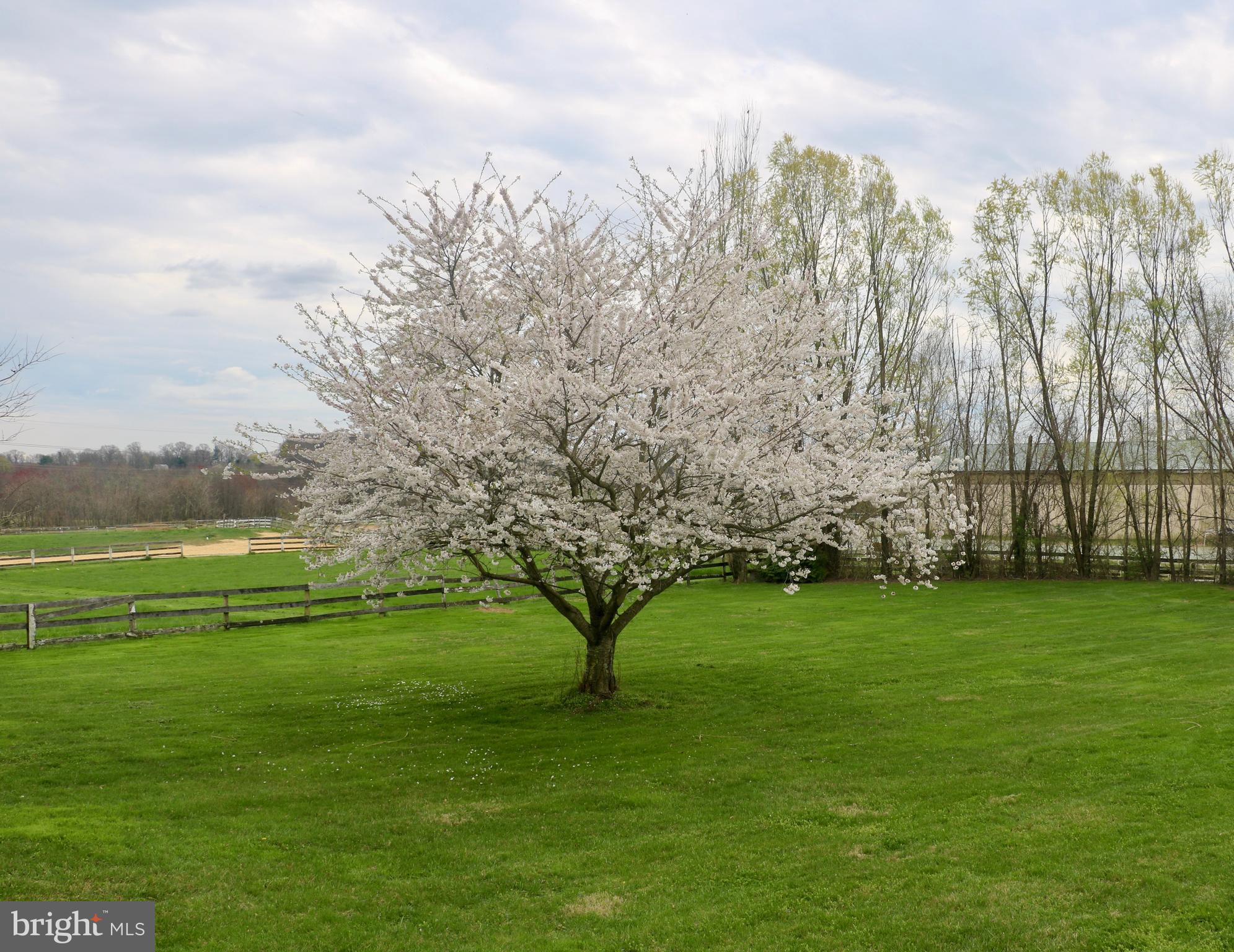 1013 Stansbury Road Pylesville, MD 21132 - Photo 49 of 51 Gallery Image 49