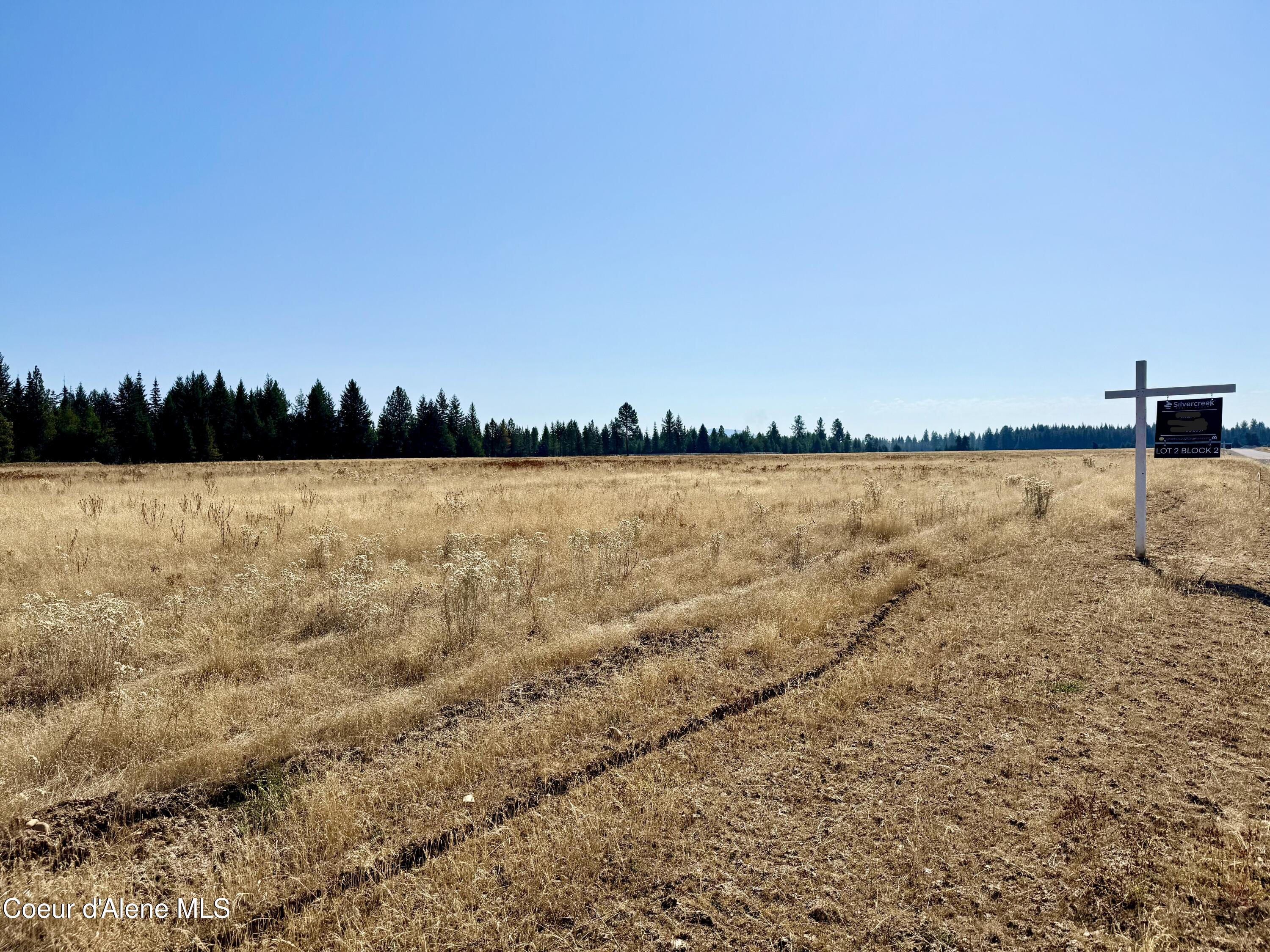 Nka North Stonemason Way, Unit 2 Rathdrum, ID 83858 - Photo 5 of 7 Looking across property