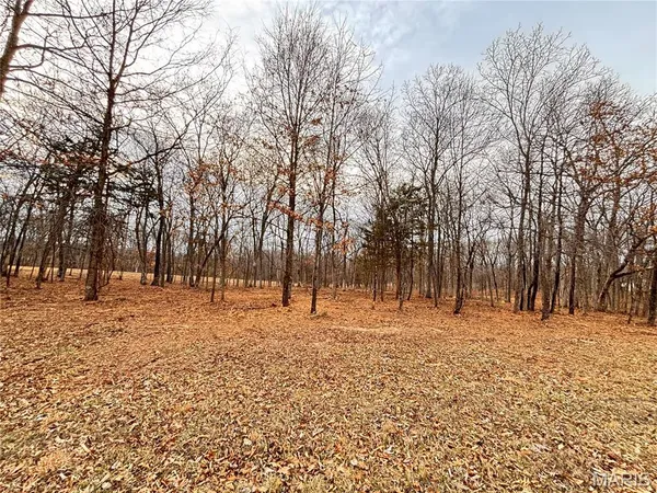 $150,000 | 3-acres 3-acres Highway, Wright City, MO 63390