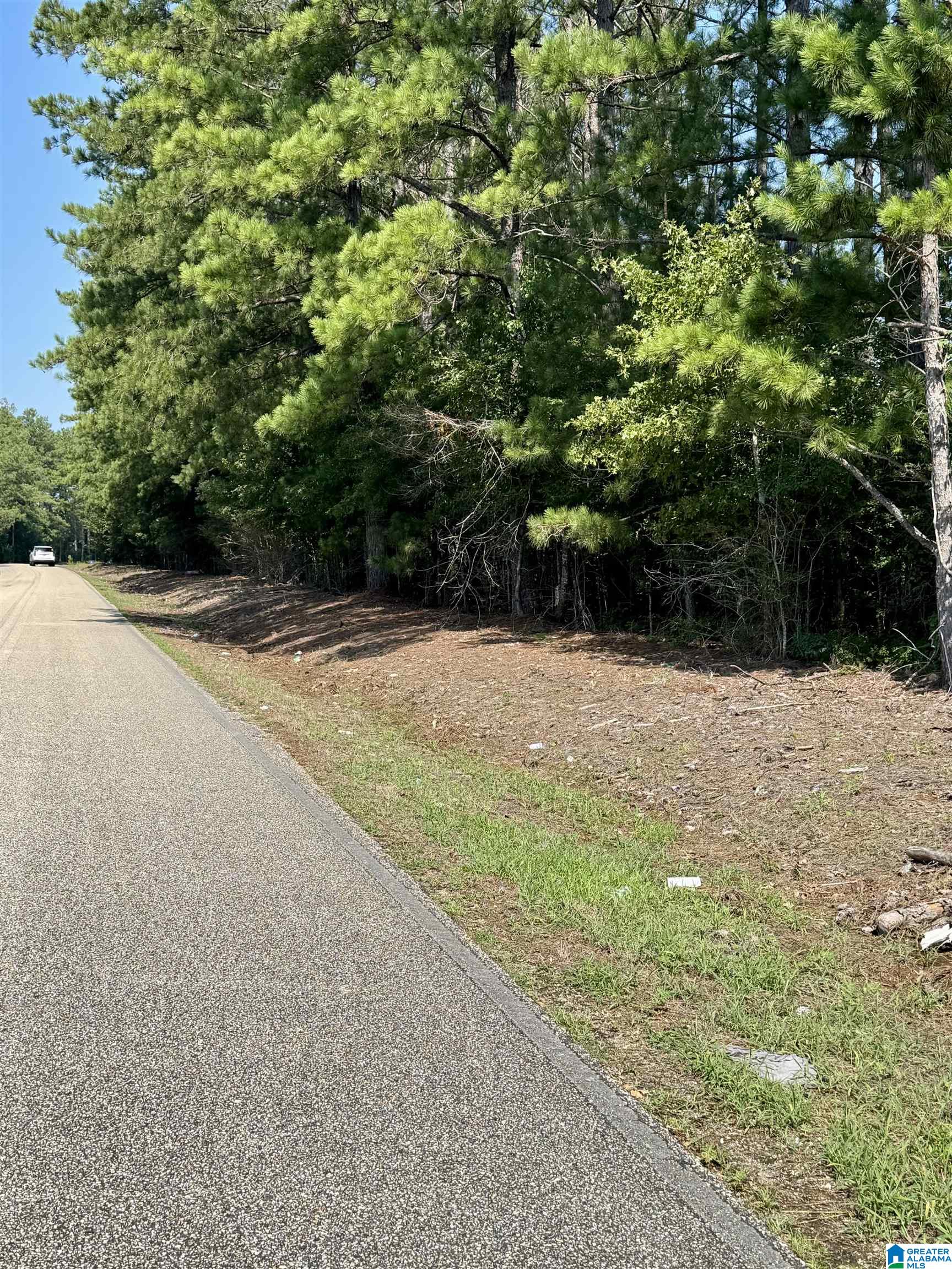0 Center Hill Road Sylacauga, AL 35150 - Photo 2 of 4