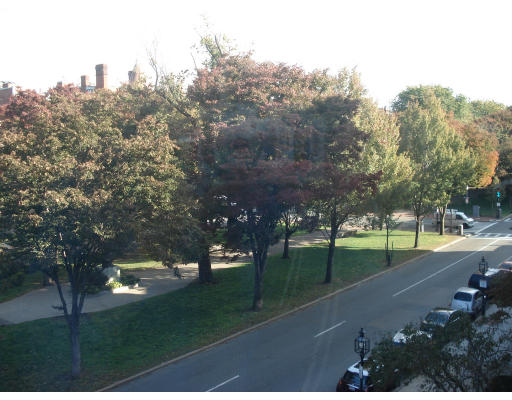 302 Commonwealth Avenue, Unit D Boston, MA 02115 - Photo 4 of 11 a view of road with grass and trees