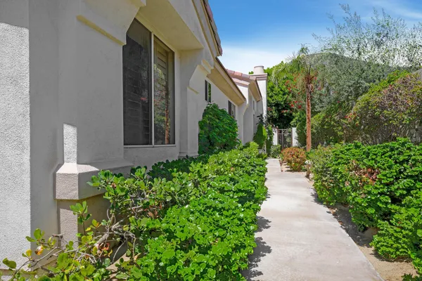 a view of a backyard with flowers