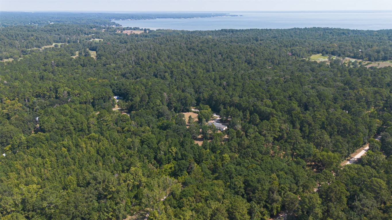 1031 Morris Creek Road Coldspring, TX 77331 - Photo 11 of 45