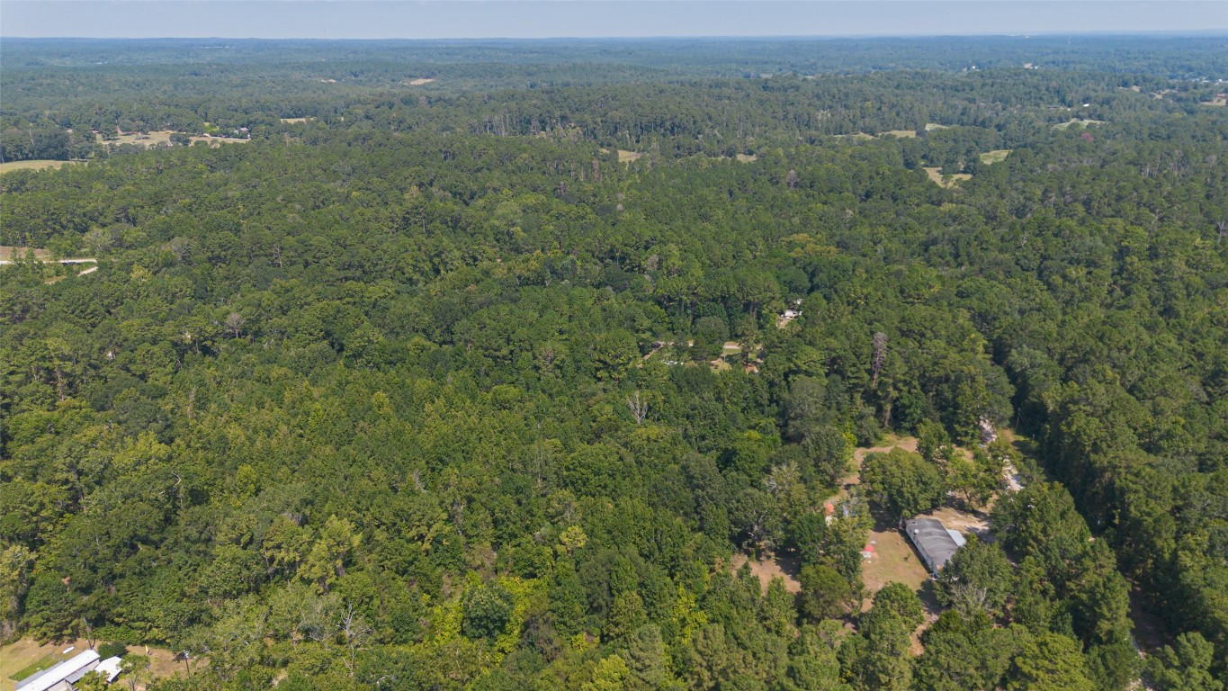 1031 Morris Creek Road Coldspring, TX 77331 - Photo 12 of 45