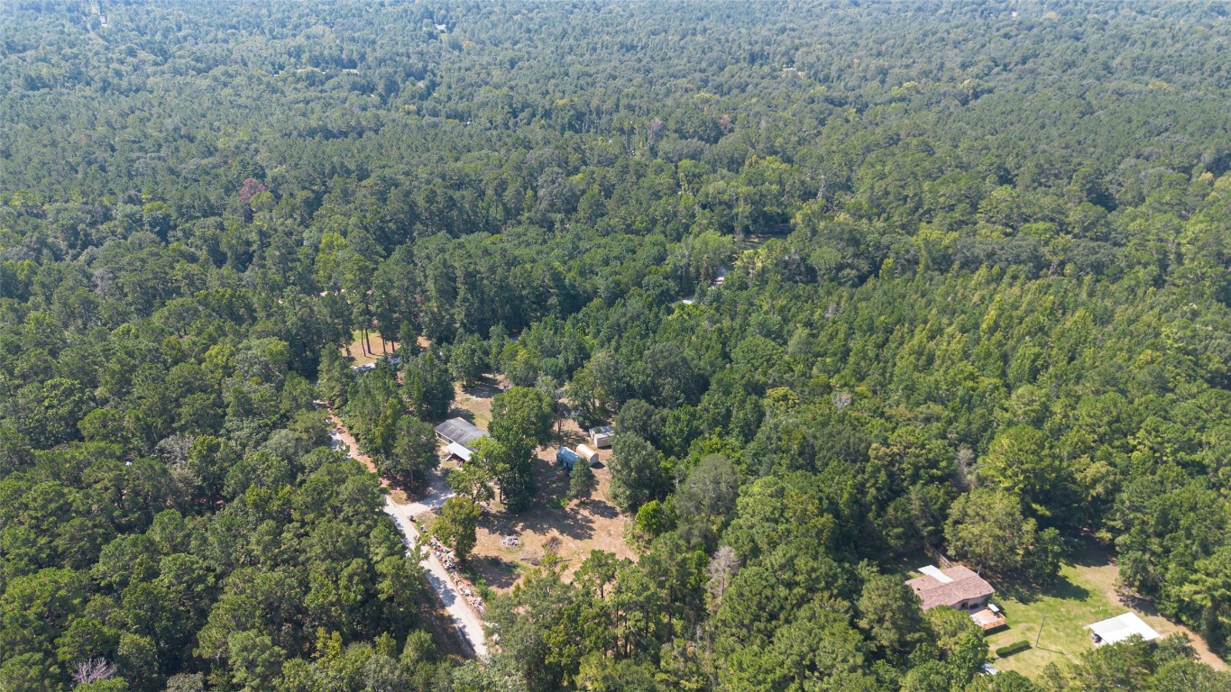 1031 Morris Creek Road Coldspring, TX 77331 - Photo 3 of 45 WEST FACING