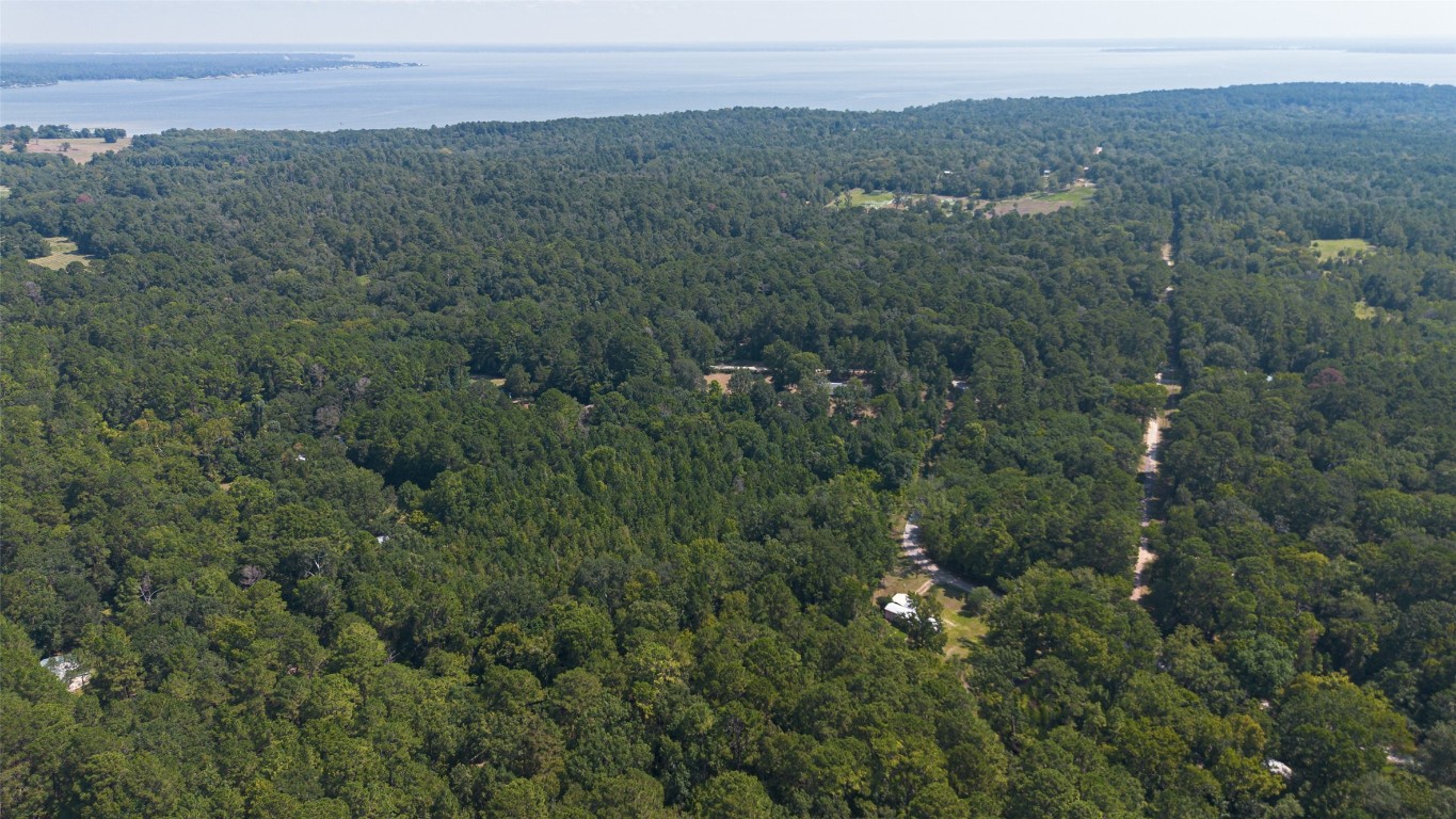 1031 Morris Creek Road Coldspring, TX 77331 - Photo 4 of 45 ABOVE TO PROPERTY VIEW TO LAKE LIVINGSTON