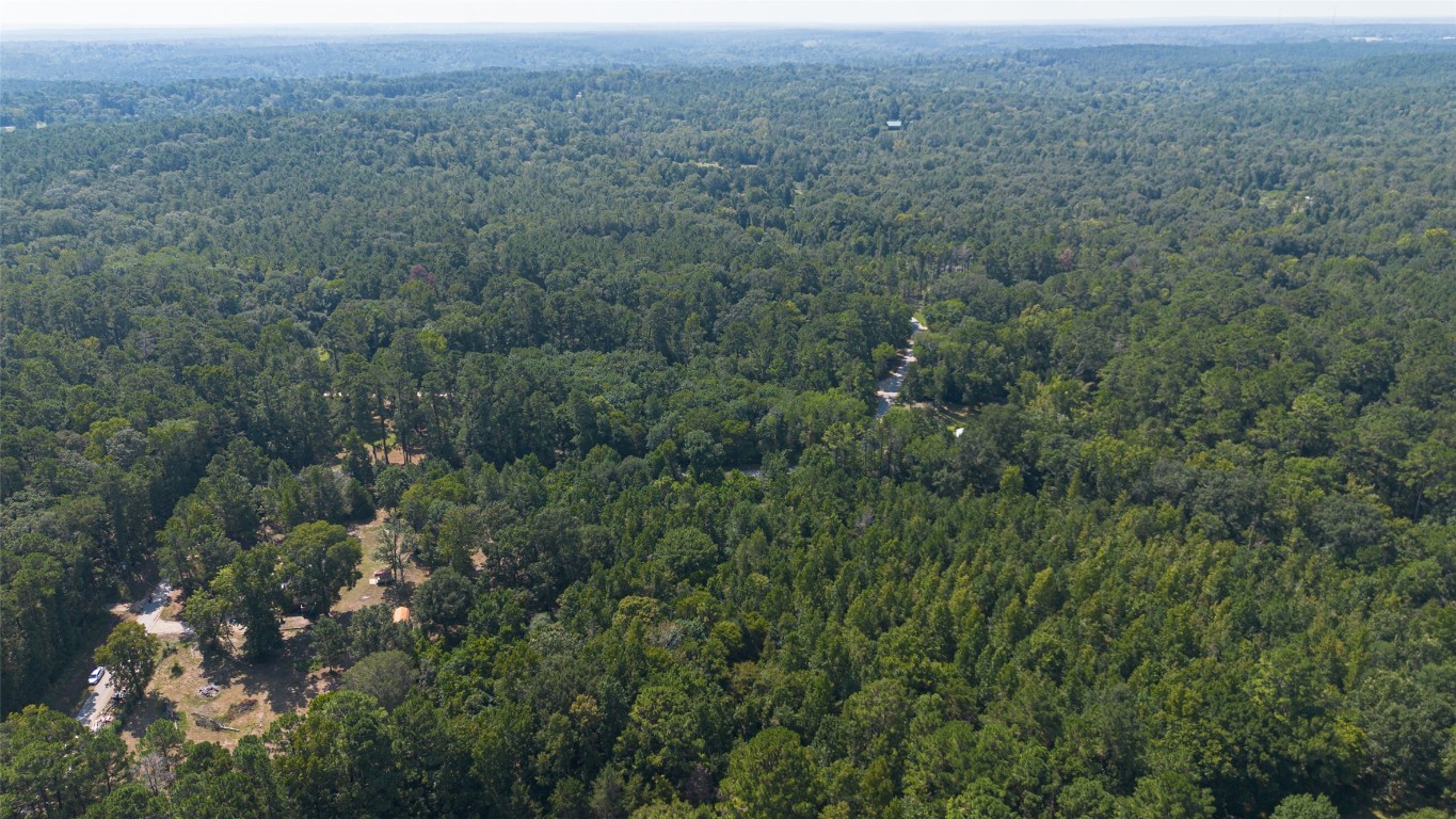 1031 Morris Creek Road Coldspring, TX 77331 - Photo 5 of 45 LOT FACING NORTH
