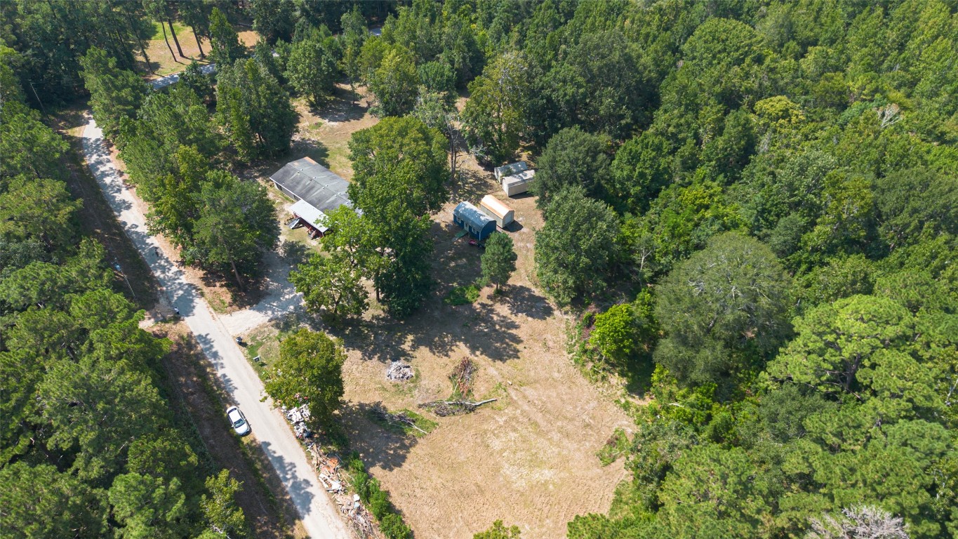 1031 Morris Creek Road Coldspring, TX 77331 - Photo 6 of 45 FRONT OF PROPERTY FROM MORRIS CREEK RD.