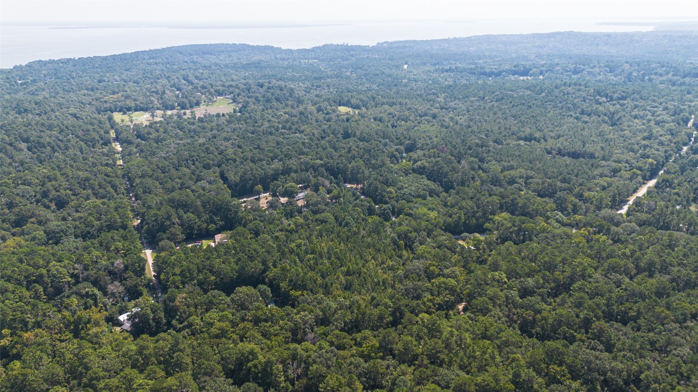 1031 Morris Creek Road Coldspring, TX 77331 - Photo 10 of 45