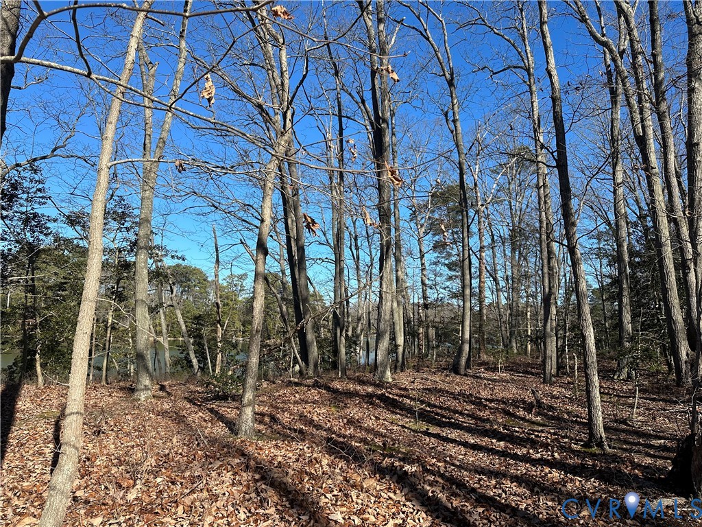349 Taylors Beach Road Reedville, VA 22539 - Photo 9 of 18