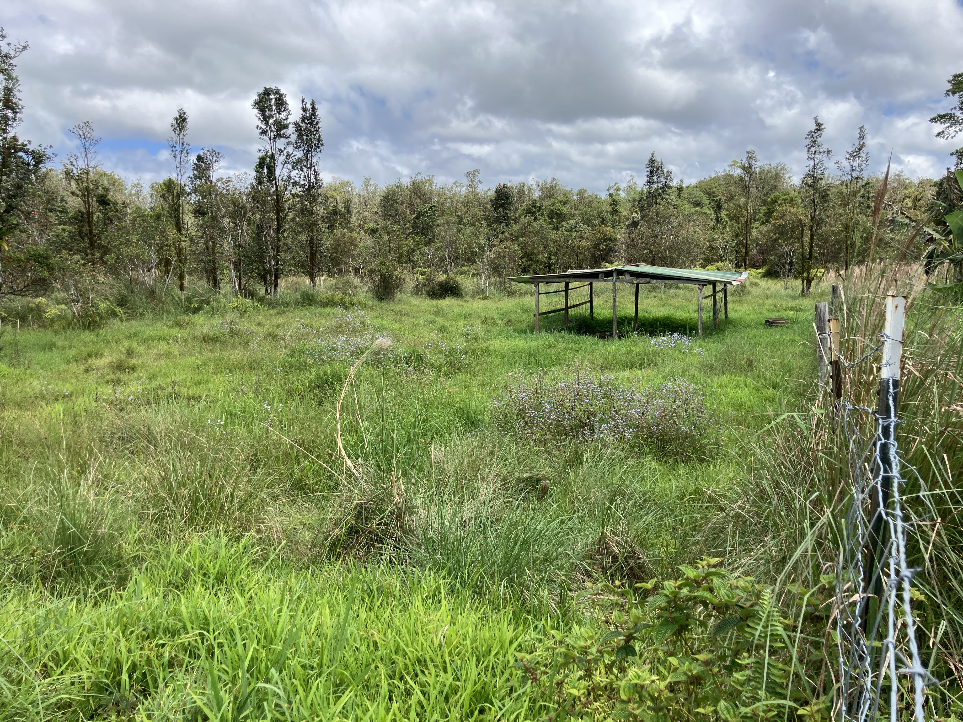 18-3746 South Kopua Road Mountain View, HI 96771 - Photo 23 of 30
