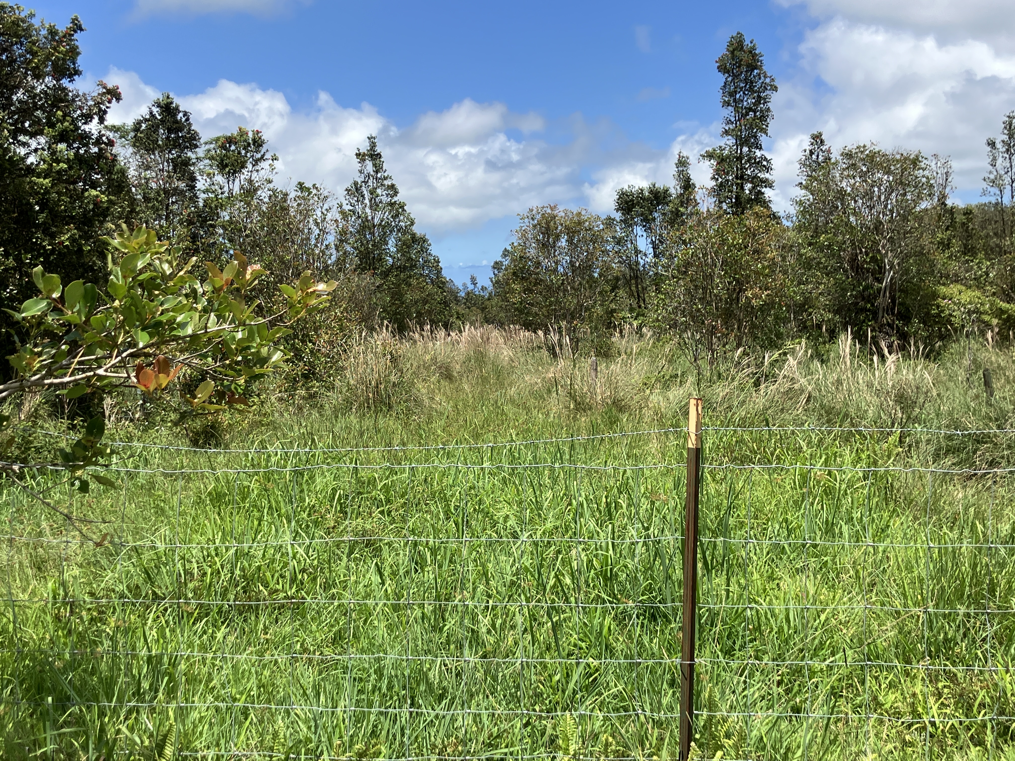 18-3746 South Kopua Road Mountain View, HI 96771 - Photo 28 of 30