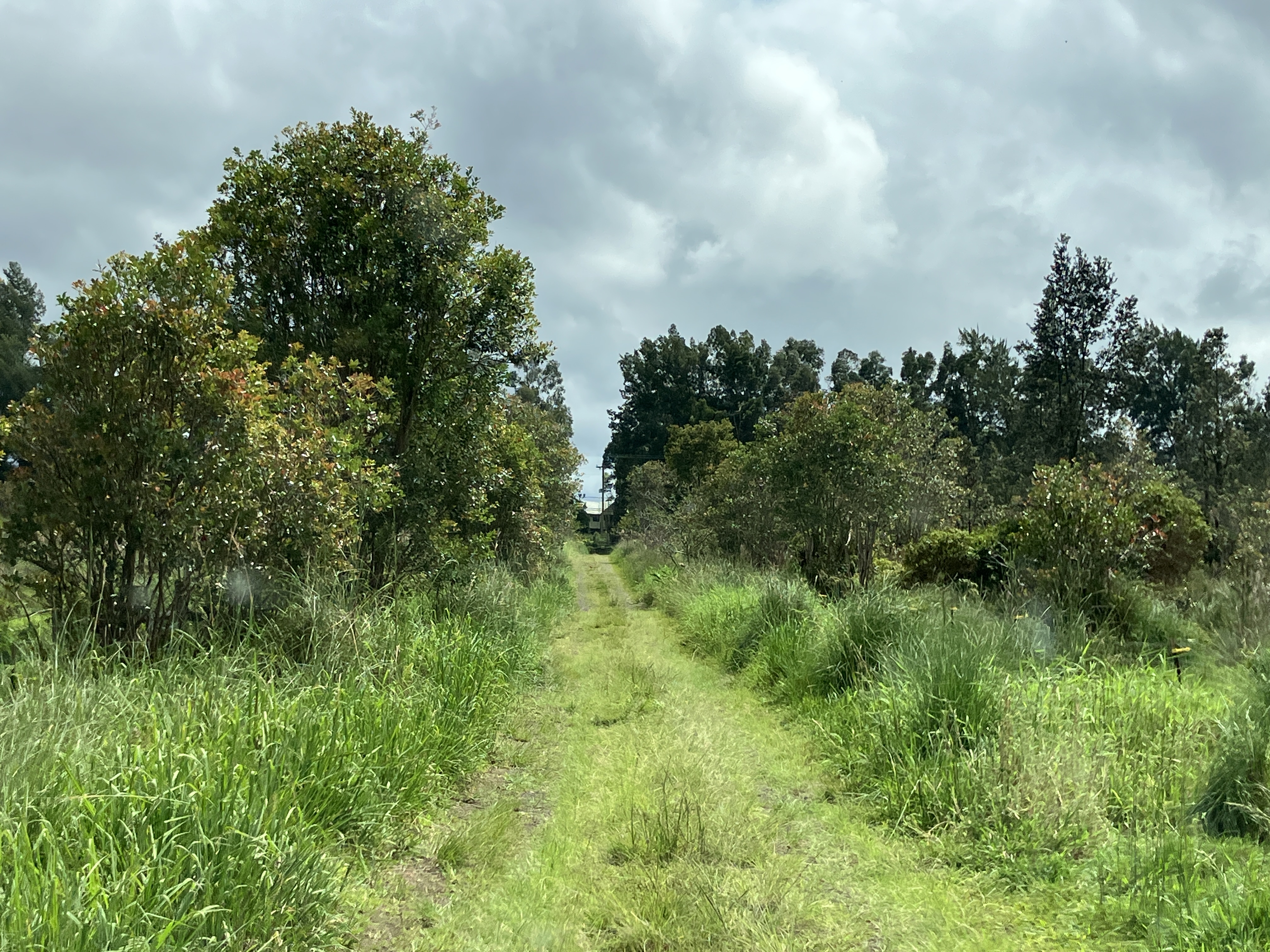 18-3746 South Kopua Road Mountain View, HI 96771 - Photo 29 of 30