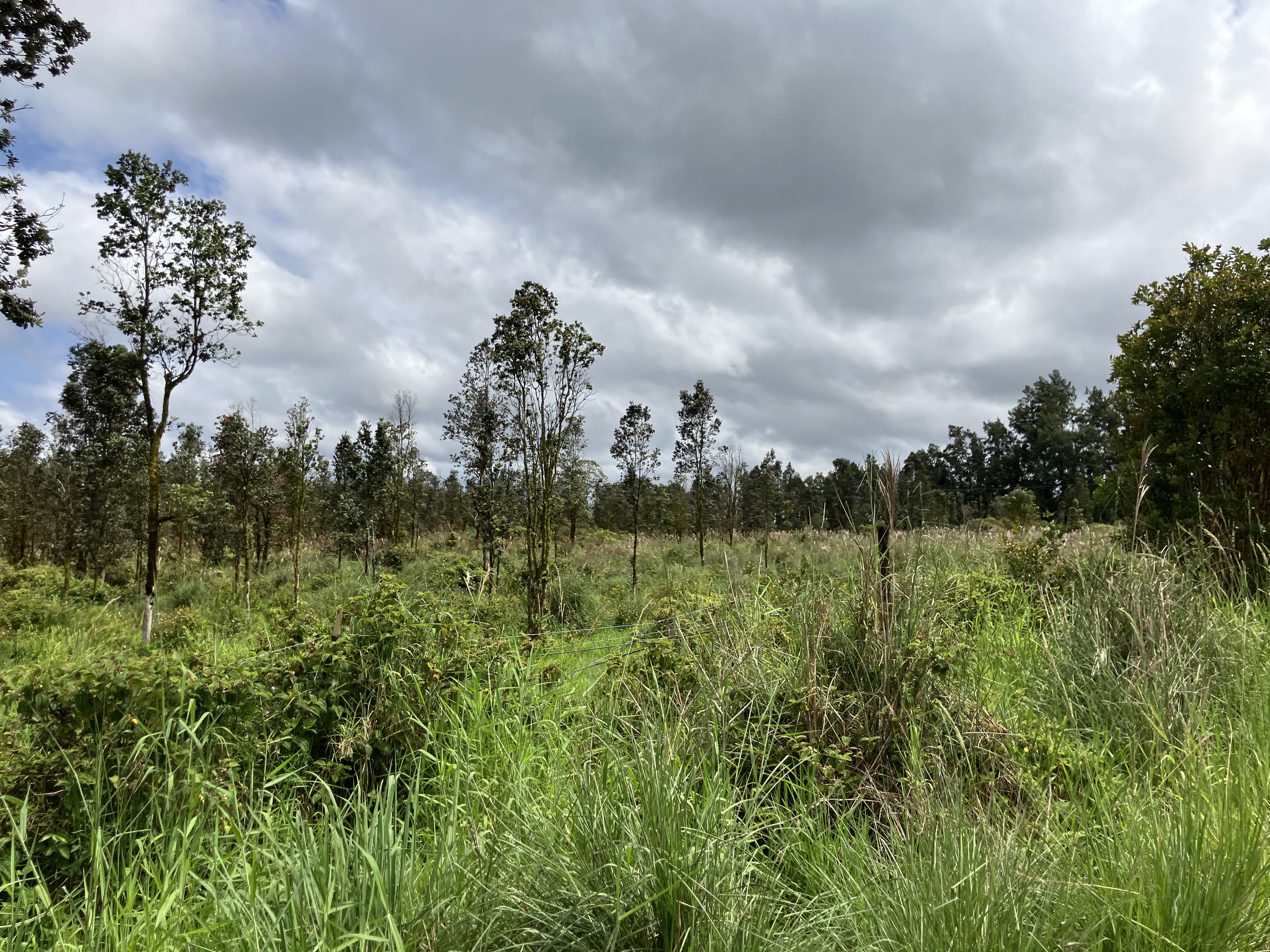 18-3746 South Kopua Road Mountain View, HI 96771 - Photo 30 of 30