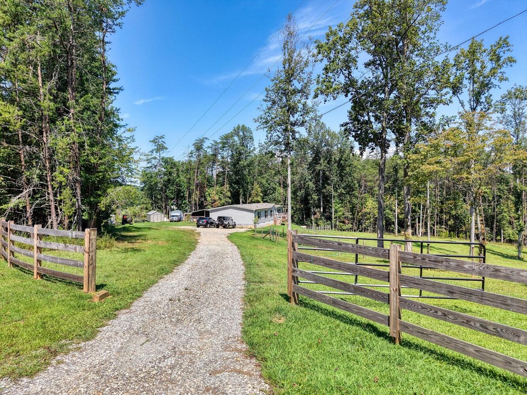 9656 Phillips Road Young Harris, GA 30582 - Photo 2 of 50