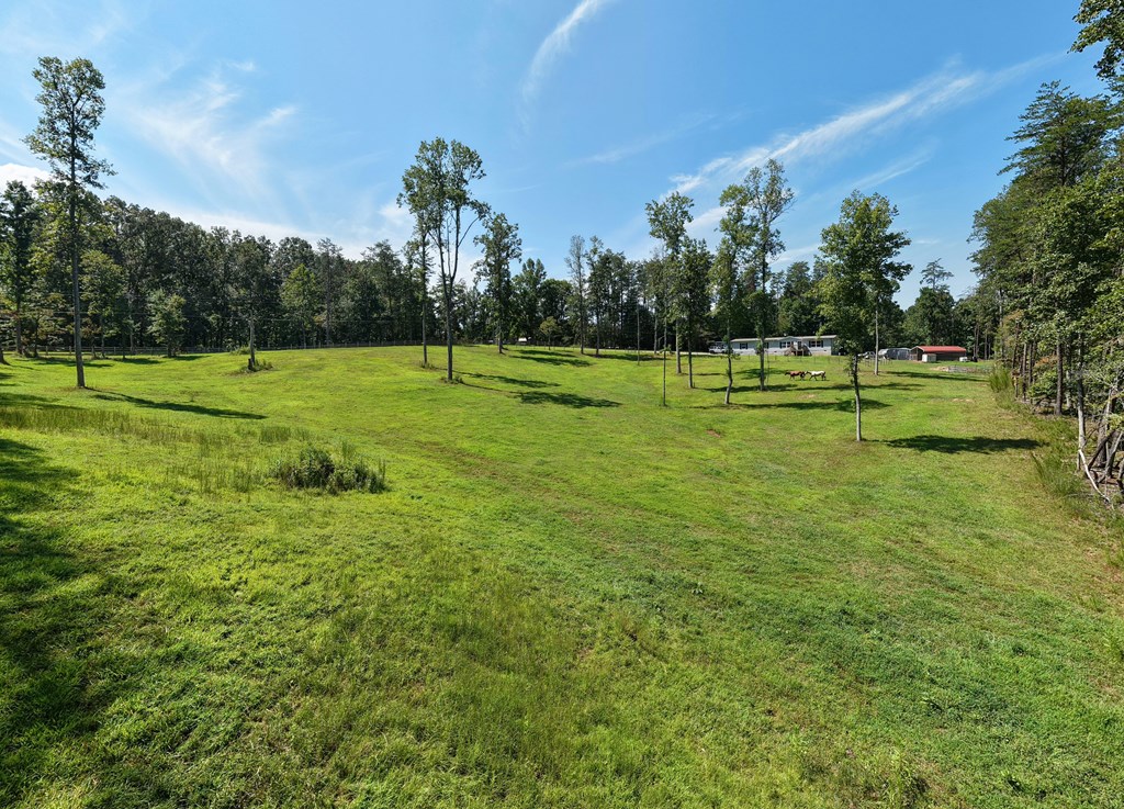 9656 Phillips Road Young Harris, GA 30582 - Photo 3 of 50