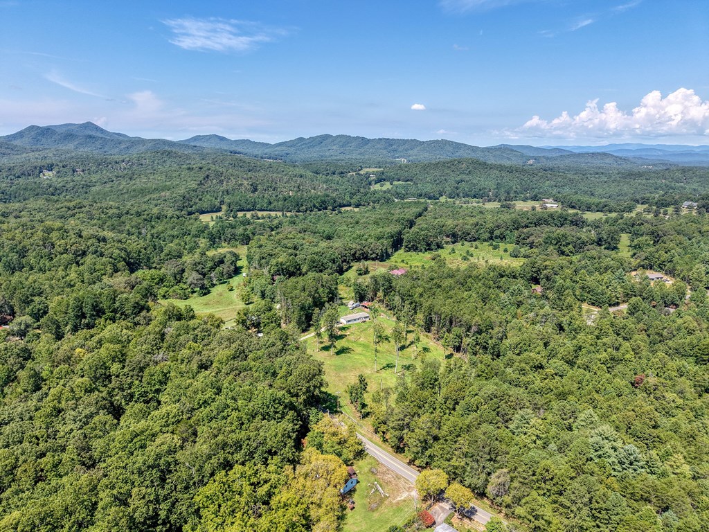 9656 Phillips Road Young Harris, GA 30582 - Photo 47 of 50