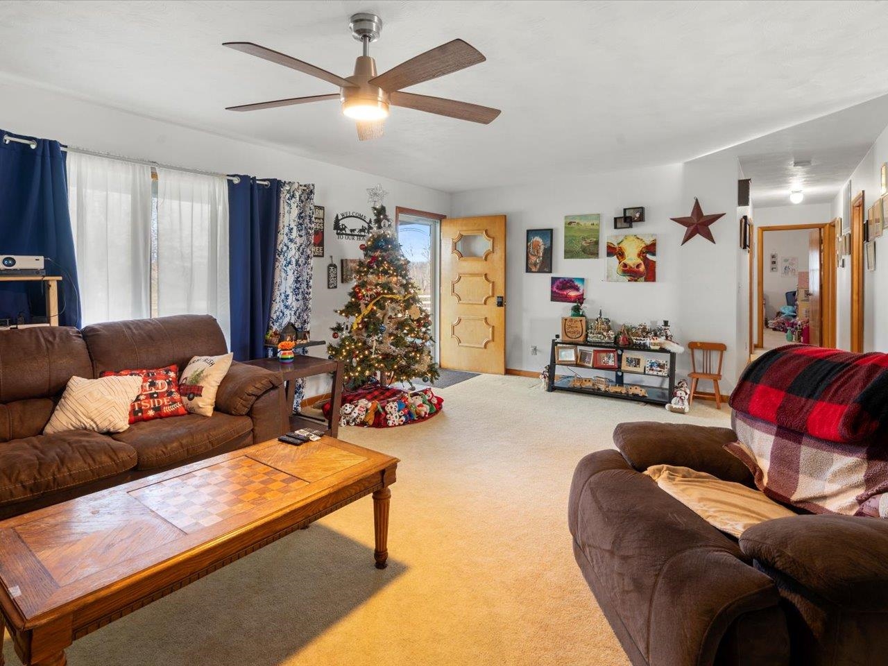 205 West Boundary Road Creal Springs, IL 62922 - Photo 15 of 25